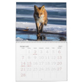 Rotfuchs-Kalender Kalender (Feb 2027)