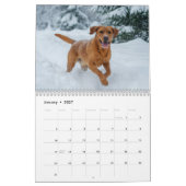 Rotfuchs Labrador Retriever 2027 Wandkalender (Jan 2027)