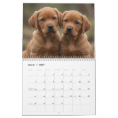 Rotfuchs Labrador Retriever 2027 Wandkalender (Mär 2027)