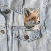Rotfuchs mit gestricktem Schal in einem schneereic Button (Insitu)