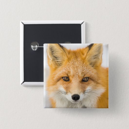Rotfuchs-Porträt Button (Vorne & Hinten)