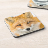 Rotfuchs-Porträt Getränkeuntersetzer (Linke Seite)