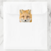 Rotfuchs-Porträt Quadratischer Aufkleber (Tasche)