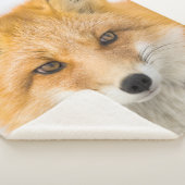 Rotfuchs-Porträt Sherpadecke (3/4)