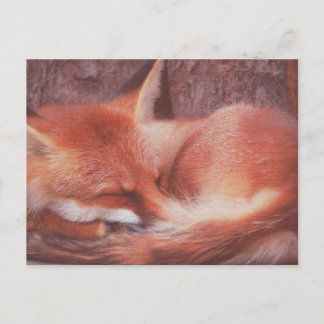 Rotfuchs POSTKARTE