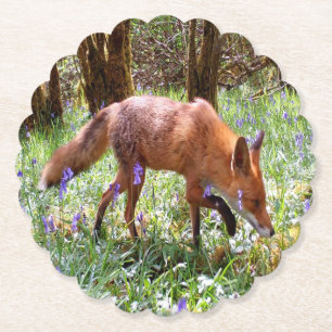 Rotfuchs Saisonale Hasenglockenblüte Landschaft Wi Untersetzer