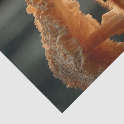 Rotfuchs schlafen unter dem riesigen Pilz Seidenpapier (Ausschnitt)