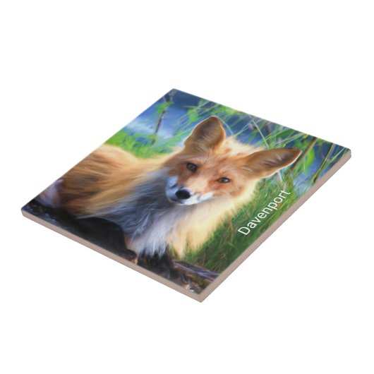 Rotfuchs Verlegen im Gras Landschaftlich Personali Fliese (Seite)