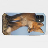 Rotfuchs, Vulpes vulpes Case-Mate iPhone Hülle (Rückseite (Horizontal))
