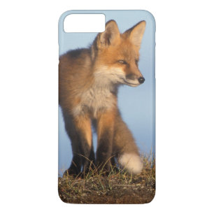 Rotfuchs, Vulpes vulpes Case-Mate iPhone Hülle