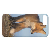Rotfuchs, Vulpes vulpes Case-Mate iPhone Hülle (Rückseite (Horizontal))