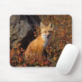 Rotfuchs, Vulpes vulpes, in Herbstfarben entlang d Mousepad (Mit Mouse)