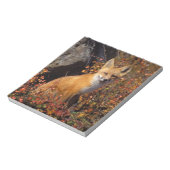 Rotfuchs, Vulpes vulpes, in Herbstfarben entlang d Notizblock (Rotiert)