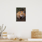 Rotfuchs, Vulpes vulpes, in Herbstfarben entlang Poster (Küche)