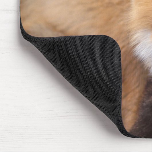 Rotfuchs, Vulpes vulpes, in Herbstfarben Mousepad (Ecke)