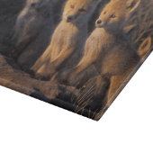 Rotfuchs, Vulpes vulpes, Junge Schneidebrett (Ecke)