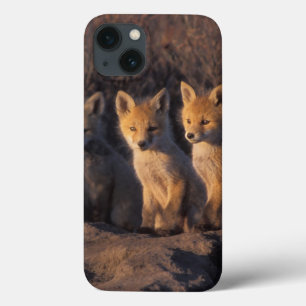 Rotfuchs, Vulpes vulpes, Jungtiere Case-Mate iPhone Hülle