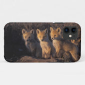Rotfuchs, Vulpes vulpes, Jungtiere Case-Mate iPhone Hülle (Rückseite (Horizontal))