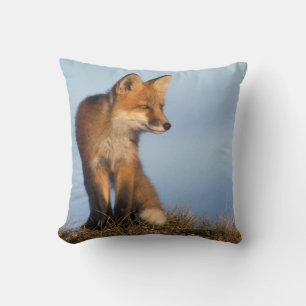 Rotfuchs, Vulpes vulpes Kissen
