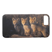 Rotfuchs, Vulpes vulpes, Kits Case-Mate iPhone Hülle (Rückseite (Horizontal))