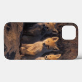 Rotfuchs, Vulpes vulpes, Kits Case-Mate iPhone Hülle (Rückseite (Horizontal))