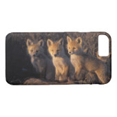 Rotfuchs, Vulpes vulpes, Kits Case-Mate iPhone Hülle (Rückseite (Horizontal))