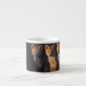 Rotfuchs, Vulpes vulpes, Kits Espressotasse (Vorderseite)