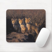 Rotfuchs, Vulpes vulpes, Kits Mousepad (Mit Mouse)