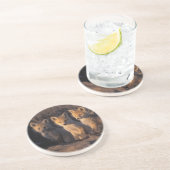 Rotfuchs, Vulpes vulpes, Kits Untersetzer (Seite)