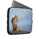 Rotfuchs, Vulpes vulpes Laptopschutzhülle (Vorne Rechts)