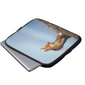 Rotfuchs, Vulpes vulpes Laptopschutzhülle (Vorne Knopf)