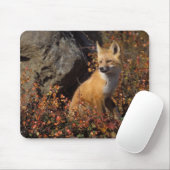 Rotfuchs, Vulpes vulpes Mousepad (Mit Mouse)