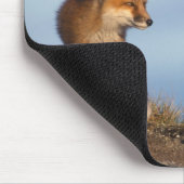 Rotfuchs, Vulpes vulpes Mousepad (Ecke)