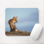 Rotfuchs, Vulpes vulpes Mousepad (Mit Mouse)