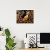 Rotfuchs, Vulpes vulpes Poster (Heimbüro)