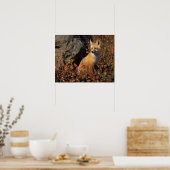 Rotfuchs, Vulpes vulpes Poster (Küche)