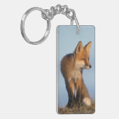 Rotfuchs, Vulpes vulpes Schlüsselanhänger (Vorderseite links)