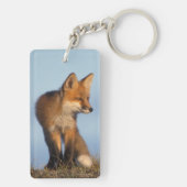 Rotfuchs, Vulpes vulpes Schlüsselanhänger (Rückseite)