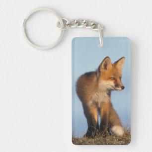 Rotfuchs, Vulpes vulpes Schlüsselanhänger