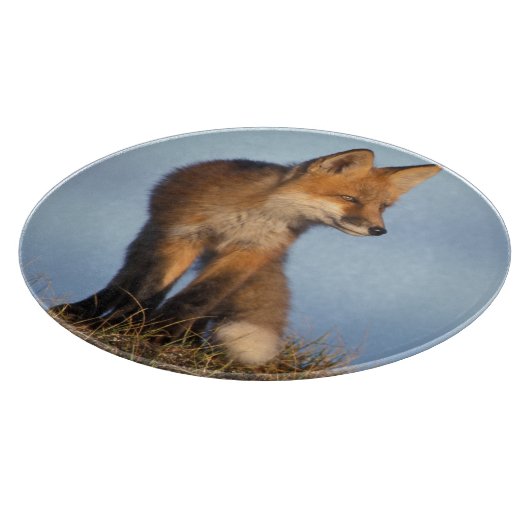 Rotfuchs, Vulpes vulpes Schneidebrett (Ecke)