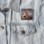 Rotfuchs, Vulpes vulpes, sich selbst kratzen, Button (Beispiel)