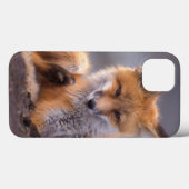 Rotfuchs, Vulpes vulpes, sich selbst kratzen, Case-Mate iPhone Hülle (Rückseite (Horizontal))