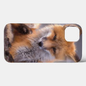Rotfuchs, Vulpes vulpes, sich selbst kratzen, Case-Mate iPhone Hülle (Rückseite (Horizontal))