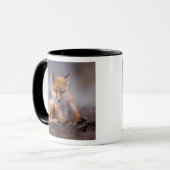 Rotfuchs, Vulpes vulpes, sich selbst kratzen, Tasse (Vorderseite Links)