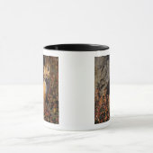 Rotfuchs, Vulpes vulpes Tasse (Zentrum)