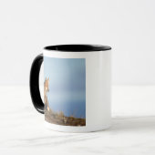 Rotfuchs, Vulpes vulpes Tasse (Vorderseite Links)