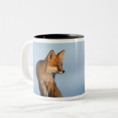 Rotfuchs, Vulpes vulpes Zweifarbige Tasse (Vorderseite Links)