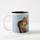 Rotfuchs, Vulpes vulpes Zweifarbige Tasse (Links)