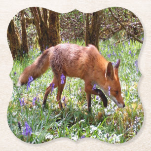 Rotfuchs-Wald Hyazinthen Frühjahrs-Wiese Wildnis Untersetzer
