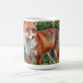 Rotfuchs-Wald-Wildnisporträt Kaffeetasse (Mittel)